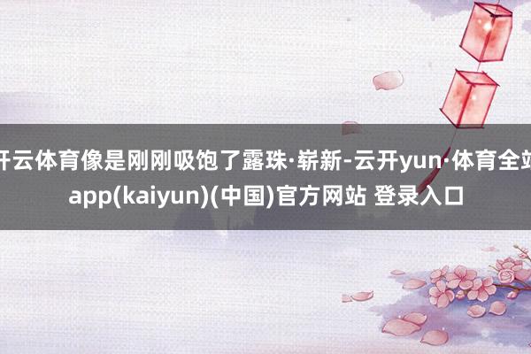 开云体育像是刚刚吸饱了露珠·崭新-云开yun·体育全站app(kaiyun)(中国)官方网站 登录入口