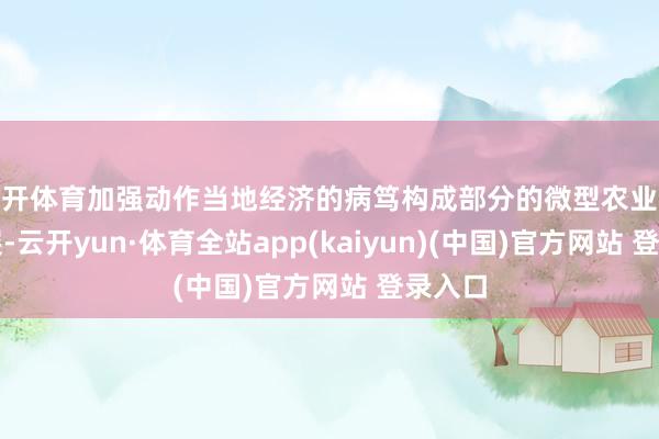 云开体育加强动作当地经济的病笃构成部分的微型农业企业发展-云开yun·体育全站app(kaiyun)(中国)官方网站 登录入口